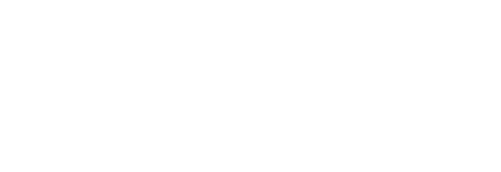 Ancer Desarrollos